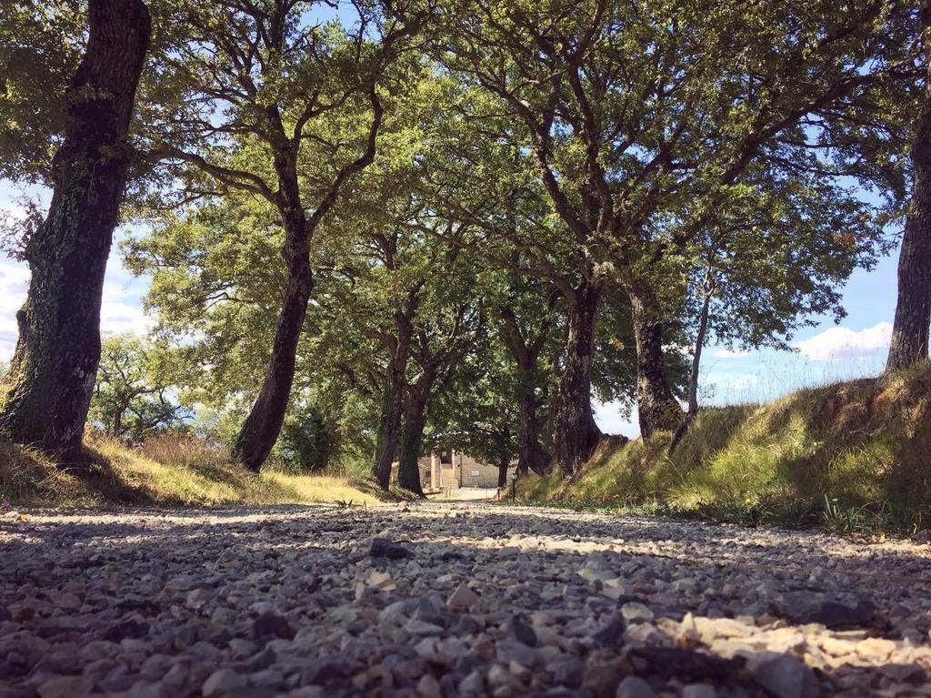 Agriturismo Ipoderi Кианчано Терме Екстериор снимка